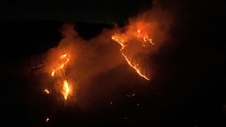 캐롤라이나 산불