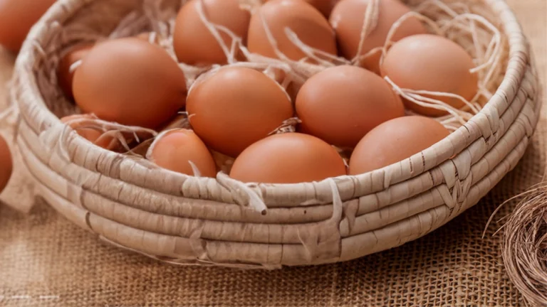 한국 계란 미국으로 수출