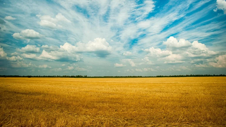 미국-우크라이나 광물 협정